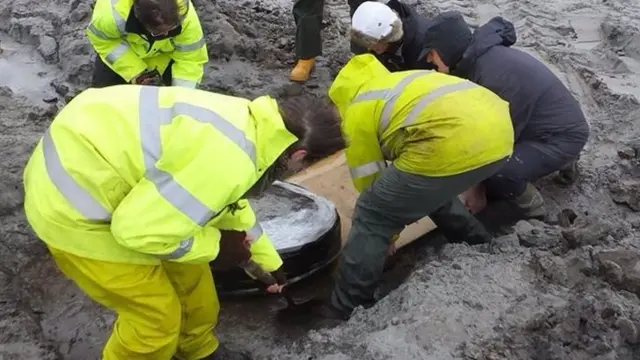 Basket being unearthed