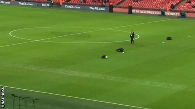 Wembley pitch