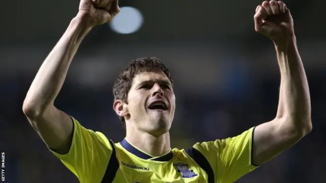 Nikola Zigic