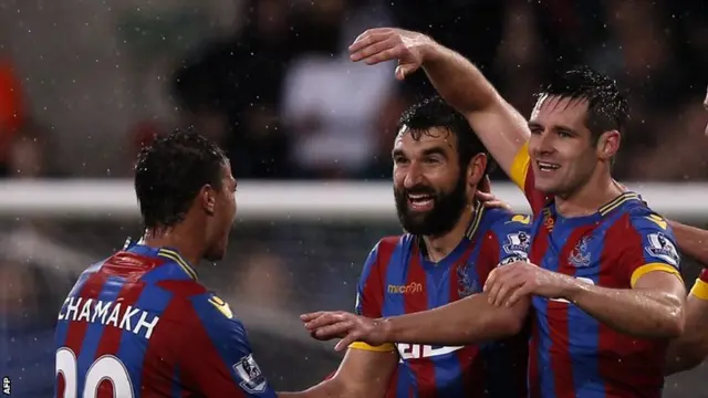 Mile Jedinak celebrates