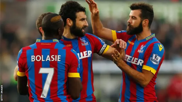 Mile Jedinak celebrates