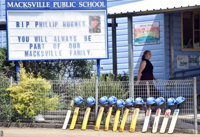 Bats left outside Macksville Public School