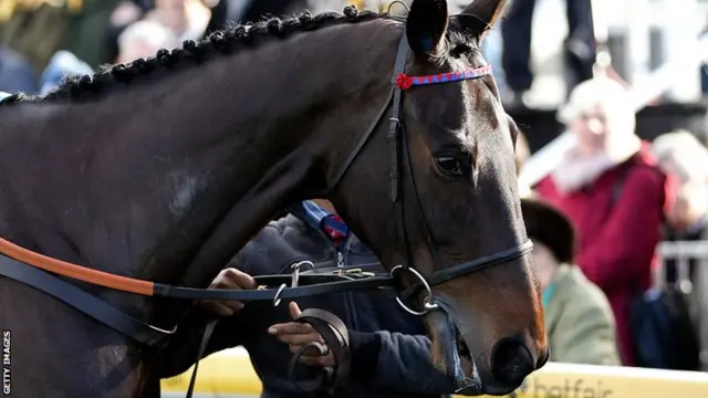 Sprinter Sacre