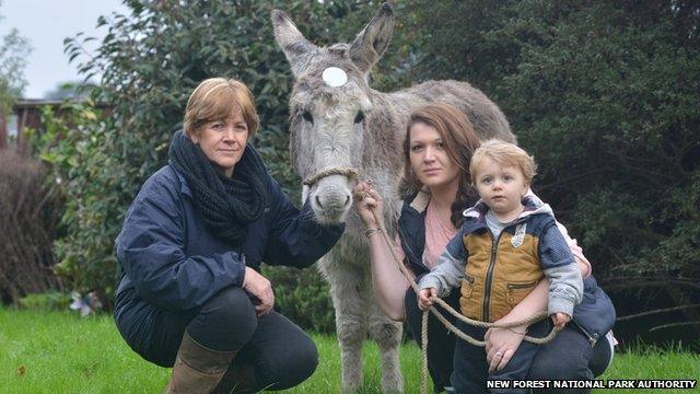 Genette Byford (pictured left) with daughter Yasmin Cook and grandson Sam and Doll the donkey wearing a reflective badge