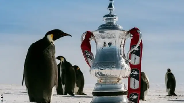 The Fa Cup