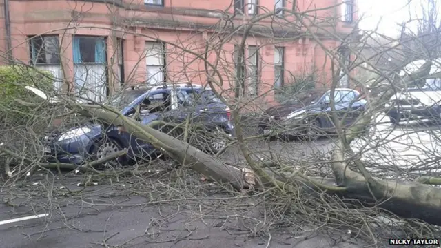 Trees were brought down in Mount Florida, Glasgow, as the storm hit