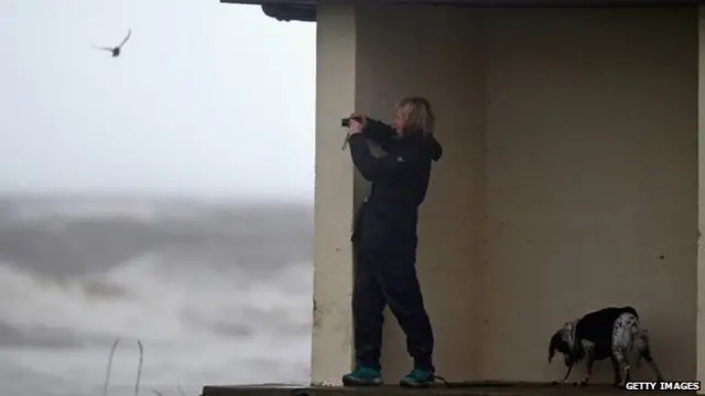 This dog looks like it has had quite enough of the weather in Troon