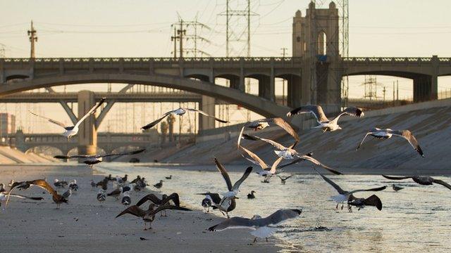 LA River