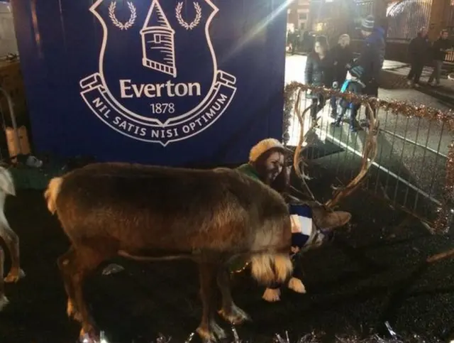 Everton reindeer