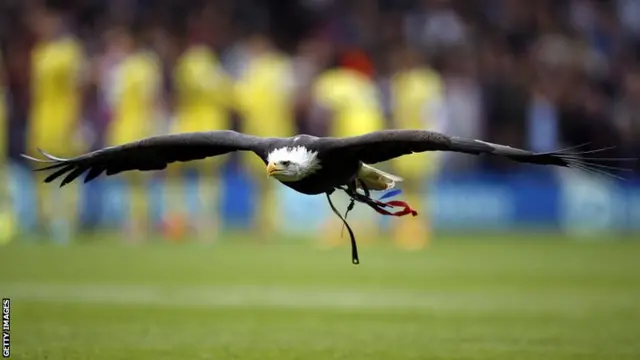 Crystal Palace's eagle