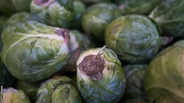 Brussell Sprouts