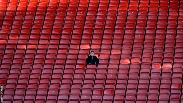 Football fan