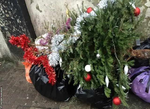 A Christmas tree outside White Hart Lane