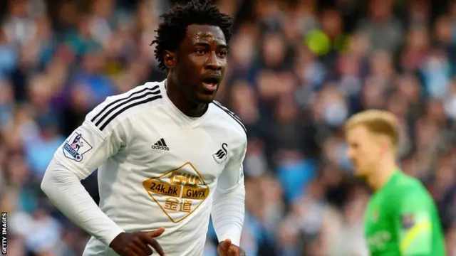 Manchester City striker Wilfried Bony