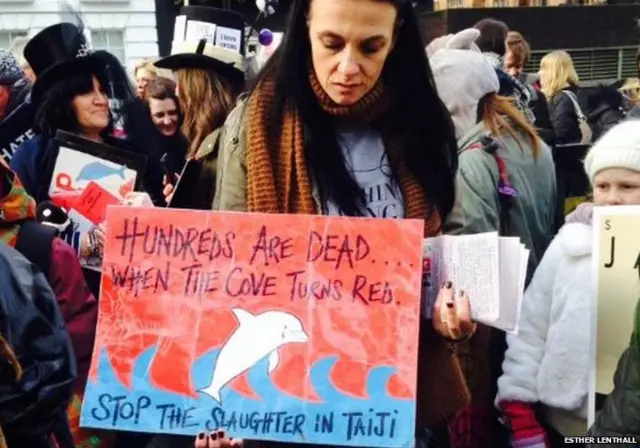 Esther Lenthall pic of protest against dolphin hunt