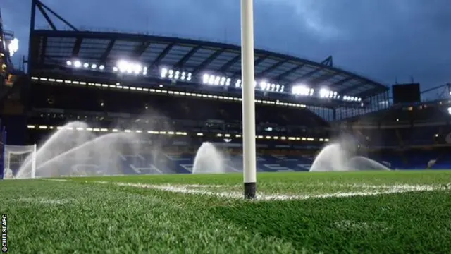 Stamford Bridge pitch