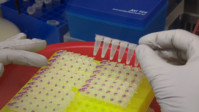 Ebola virus research