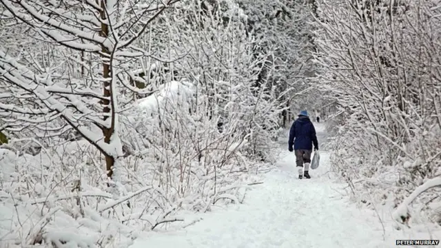 Person walking through snowy woods in Whaley Bridge