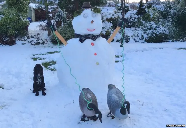 Snowman with two plastic geese