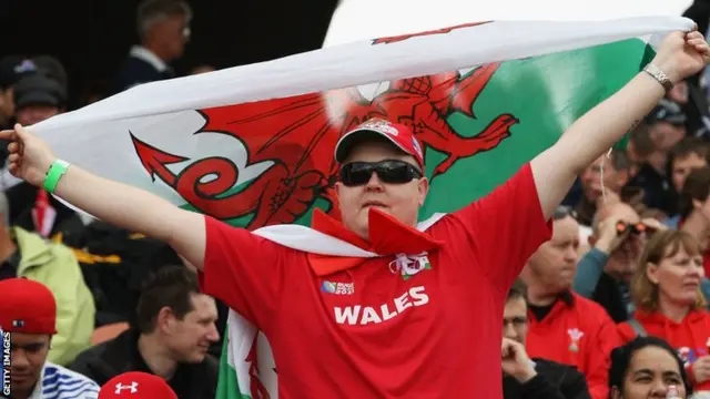 Wales fan