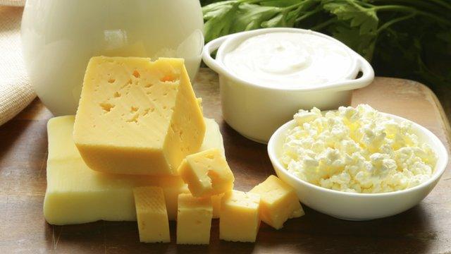 Dairy products contain protein and calcium