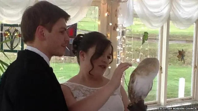 Owl delivers rings to wedding