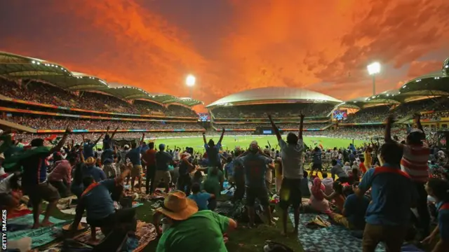 India fans celebrate during their win over Pakistan at the Cricket World Cup