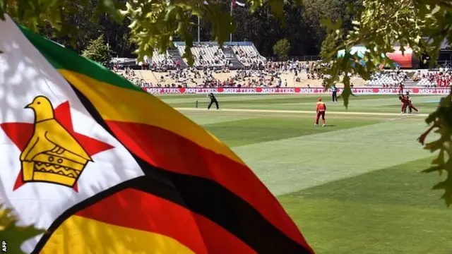 A Zimbabwean flag is attached to a tree