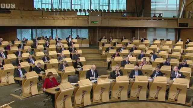 MSPs voting