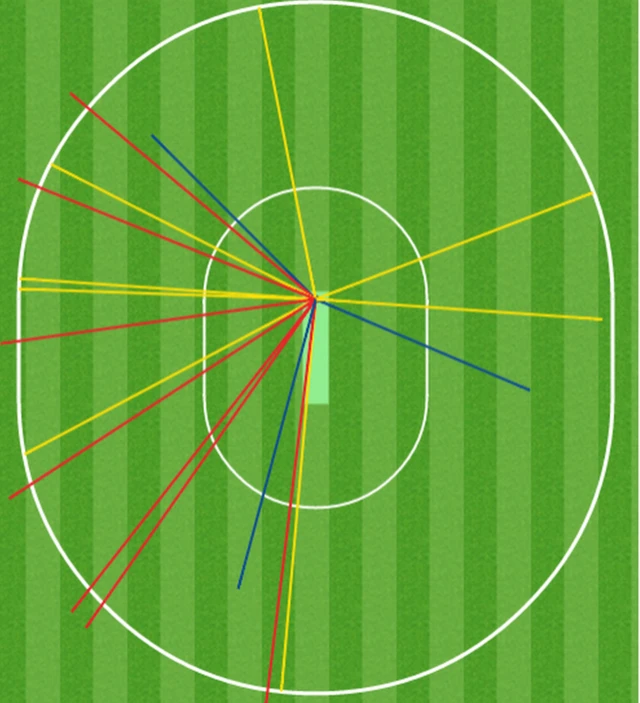 Brendon McCullum wagon wheel