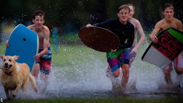 surf boards