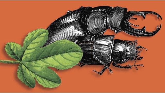 Nature's Nether Regions