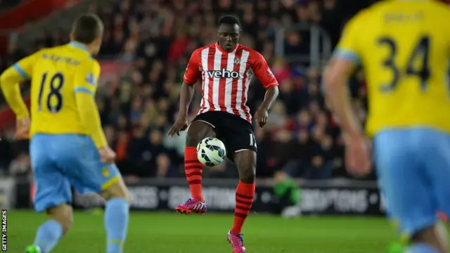 Wanyama