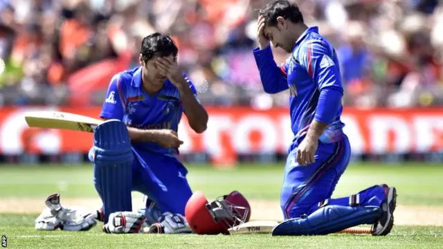 Samiullah Shenwarie and Mohammad Nabi