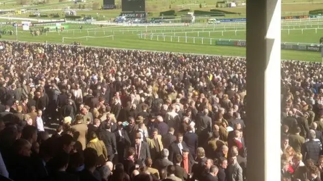 Cheltenham stands