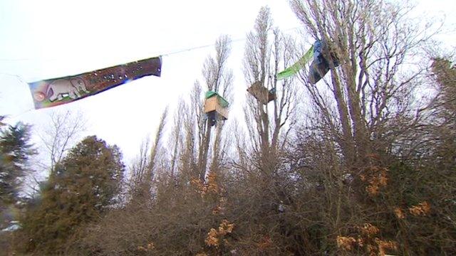 Protesters perch in the tree-tops at Stapleton Allotments in Bristol