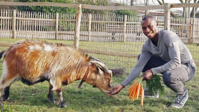 Anthony Ujah feeds Hennes the goat