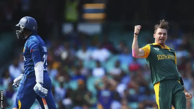 Dale Steyn celebrates a wicket