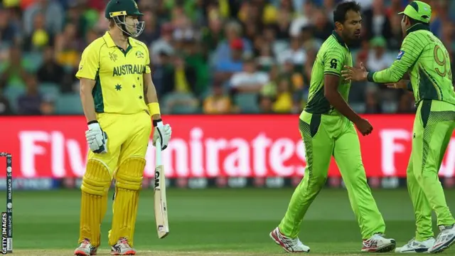 Wahab Riaz