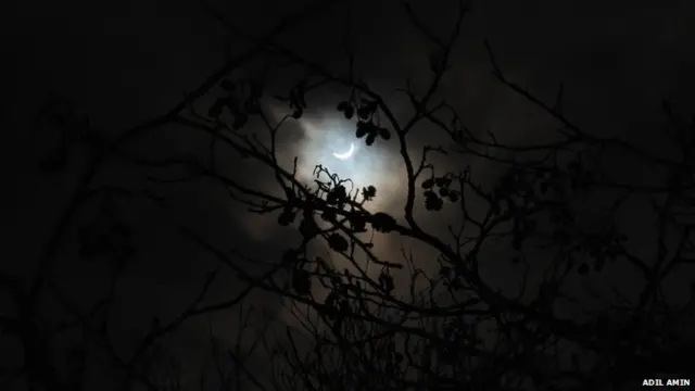 Eclipse behind a tree