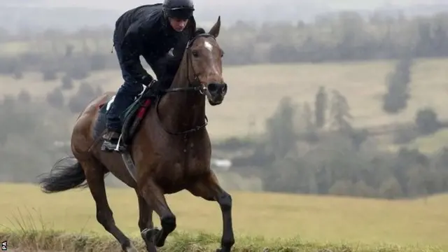 The New One being ridden out on the gallops in Gloucestershire in February 2015