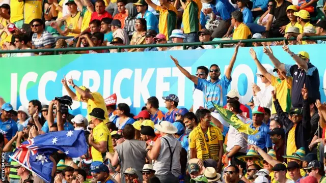 cricket fans at the aus v india semi-final