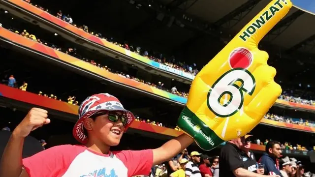 A fan at the MCG