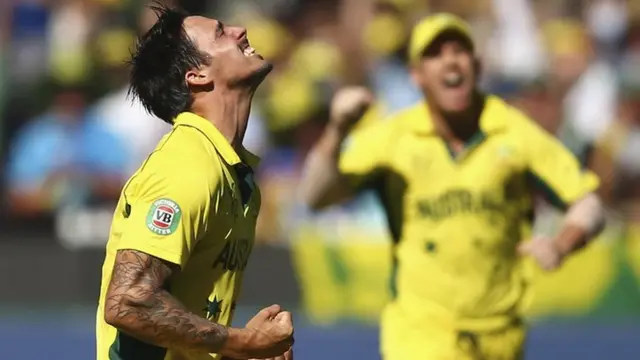 Mitchell Johnson celebrates