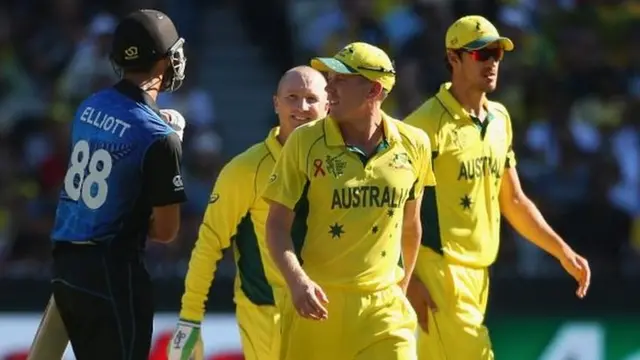 Grant Elliott and Brad Haddin