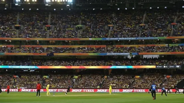 David Warner of Australia bats