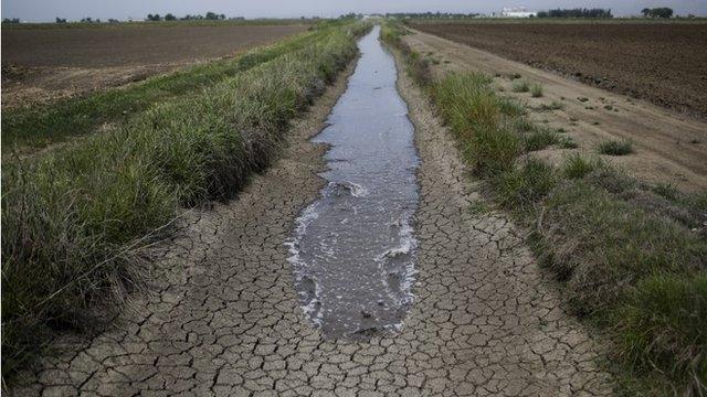 In this May 1, 2014, file photo, irrigation water runs along a dried-up ditch between rice farms to provide water for the fields in Richvale, California.