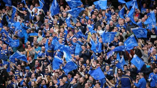 Leinster fans