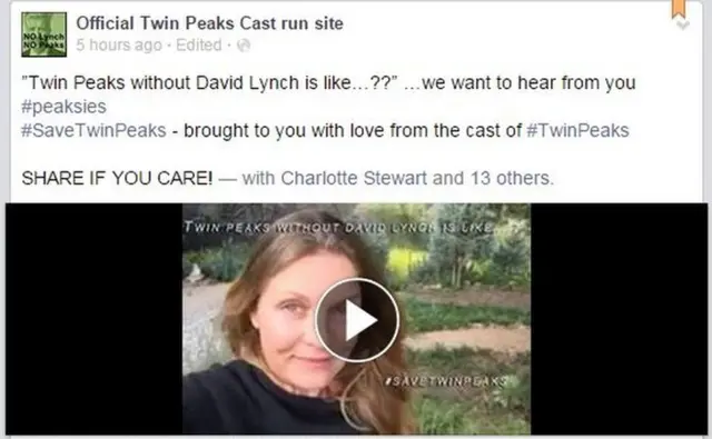 Twin Peaks video appeal