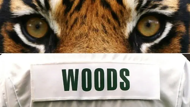 Tiger Eyes and Tiger Woods